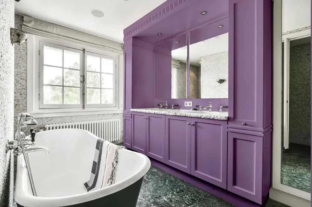 NCS S 3030-R50B victorian bathroom paint