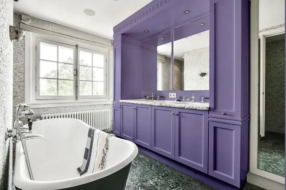 NCS S 3030-R60B victorian bathroom paint