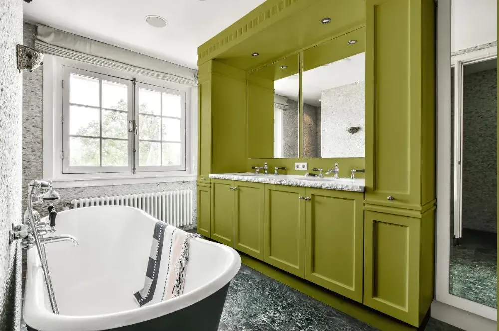 NCS S 3040-G70Y victorian bathroom paint