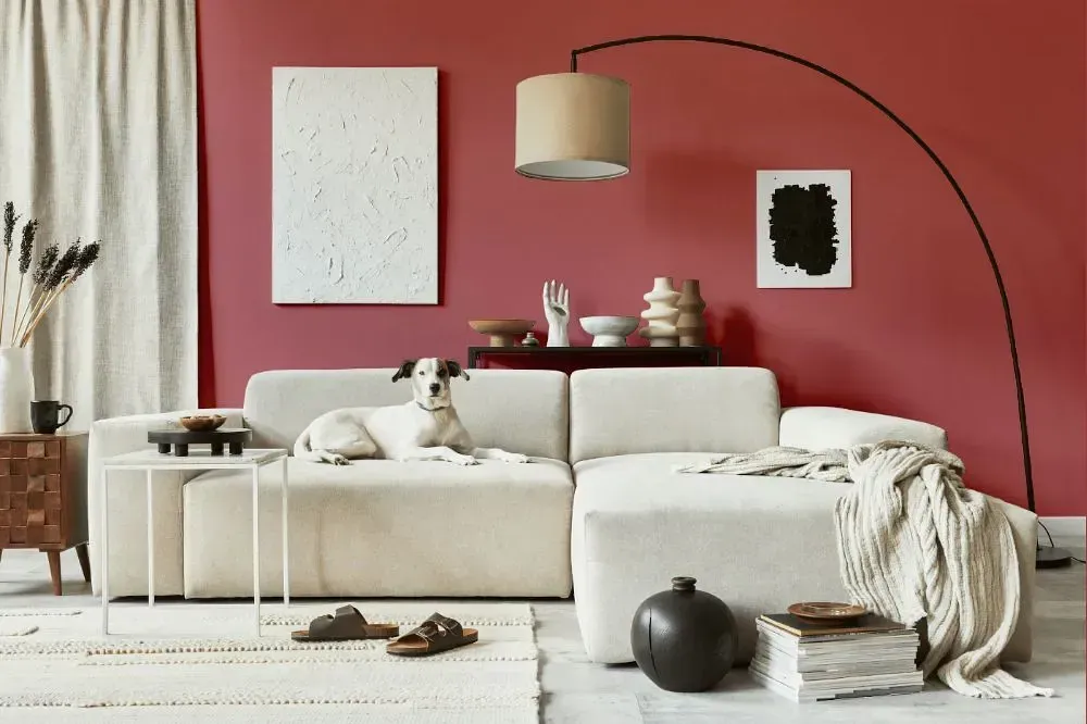 NCS S 3040-R cozy living room