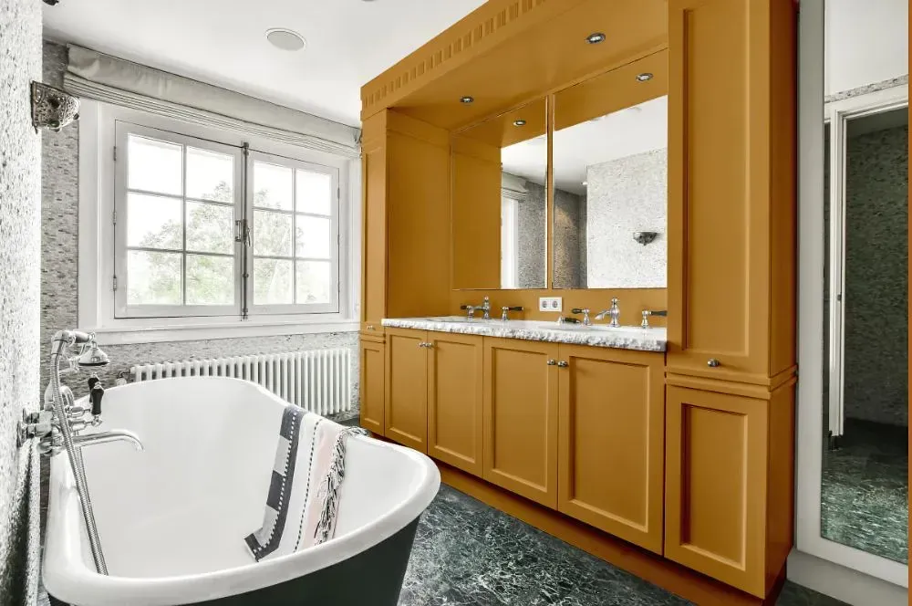 NCS S 3040-Y20R victorian bathroom paint