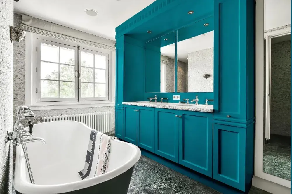 NCS S 3050-B20G victorian bathroom paint