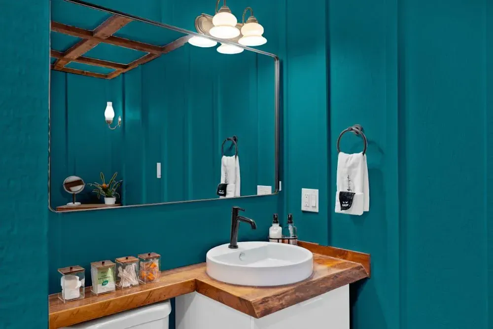 NCS S 3050-B30G small bathroom