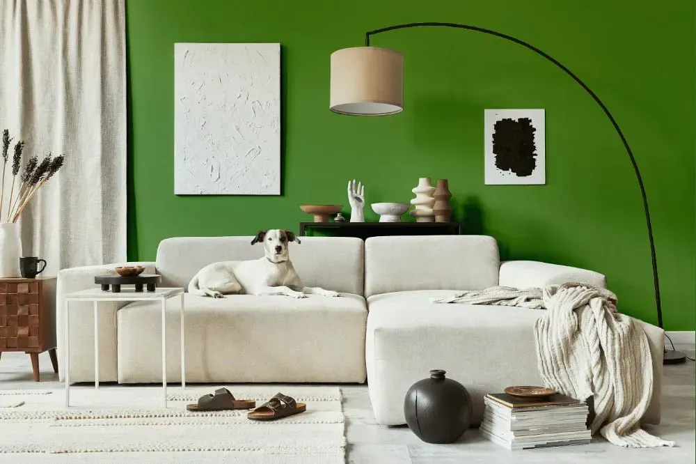 NCS S 3050-G30Y cozy living room