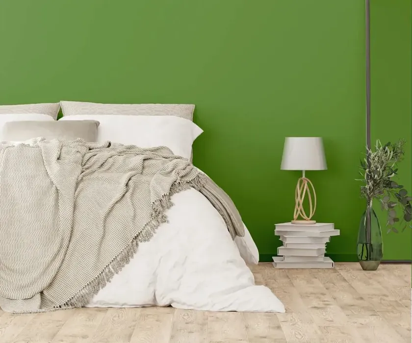 NCS S 3050-G30Y cozy bedroom wall color
