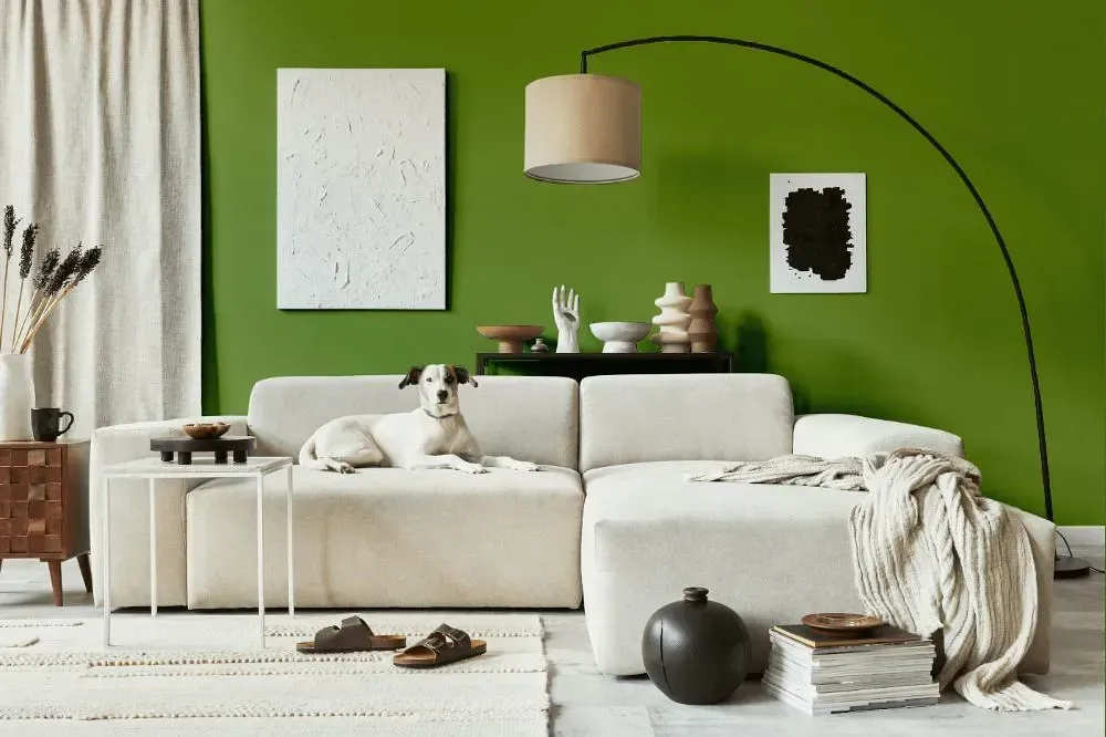 NCS S 3050-G40Y cozy living room