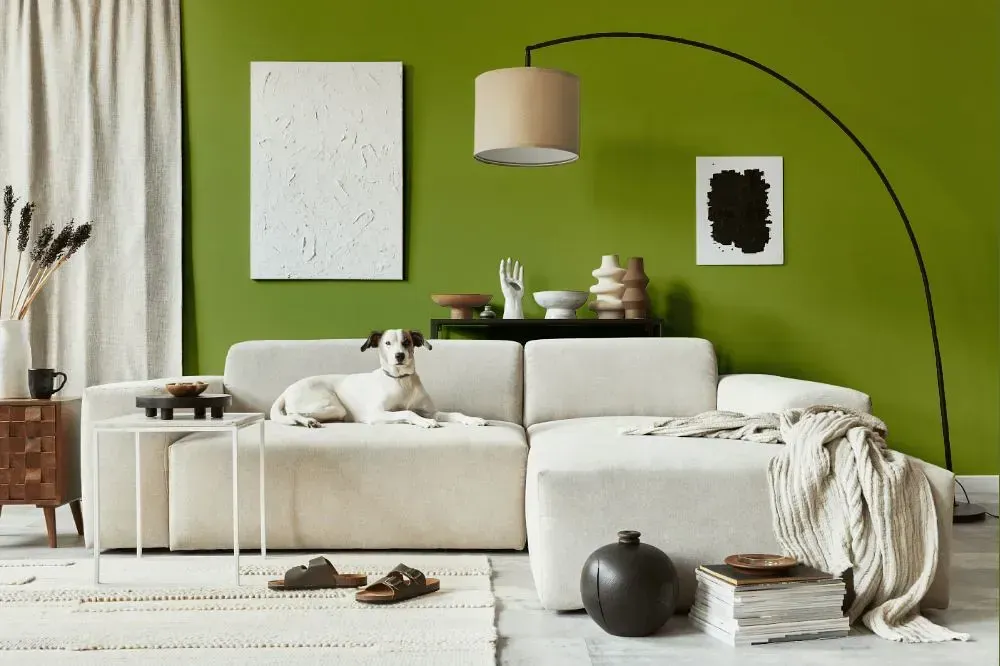 NCS S 3050-G50Y cozy living room