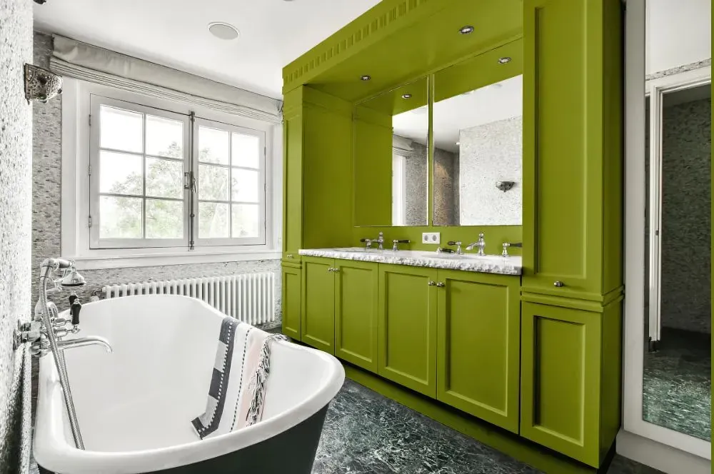 NCS S 3050-G60Y victorian bathroom paint