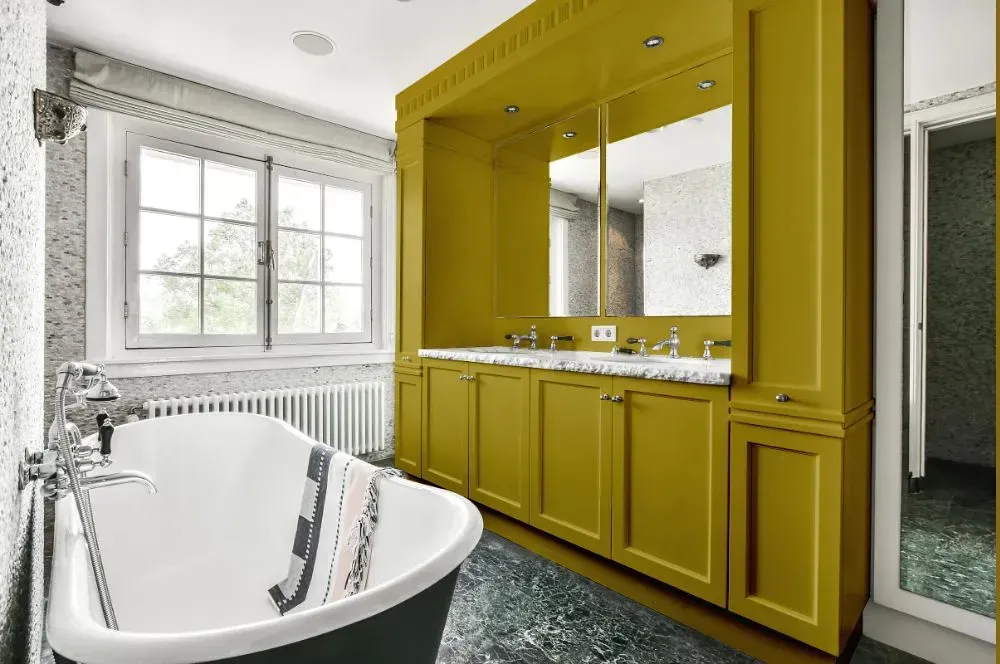 NCS S 3050-G90Y victorian bathroom paint