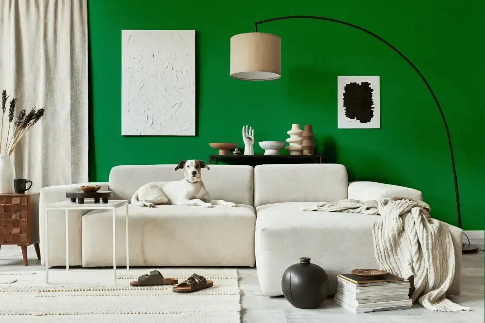 NCS S 3060-G10Y cozy living room