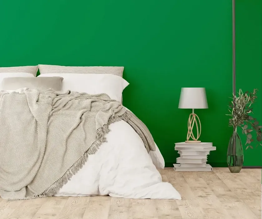NCS S 3060-G10Y cozy bedroom wall color
