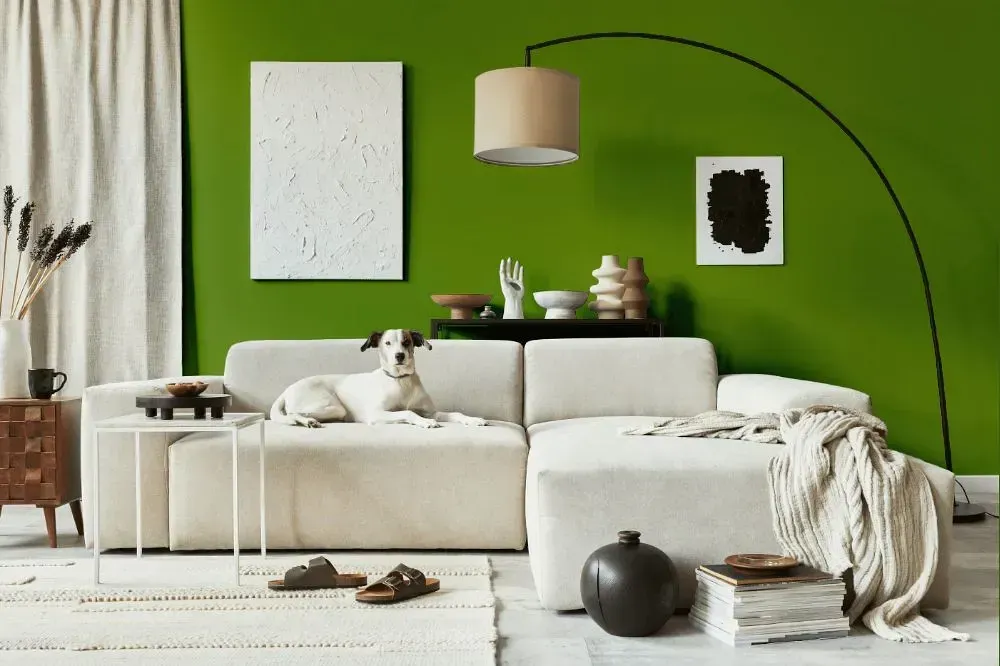 NCS S 3060-G40Y cozy living room