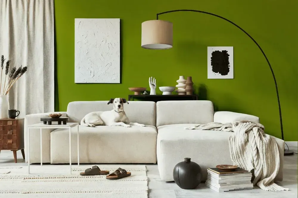 NCS S 3060-G50Y cozy living room