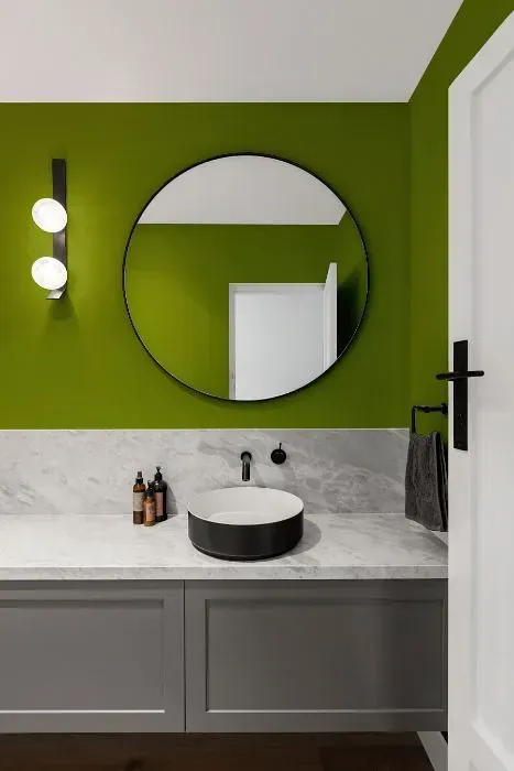 NCS S 3060-G50Y minimalist bathroom