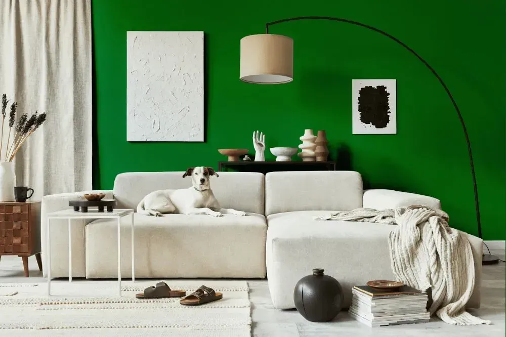NCS S 3065-G10Y cozy living room