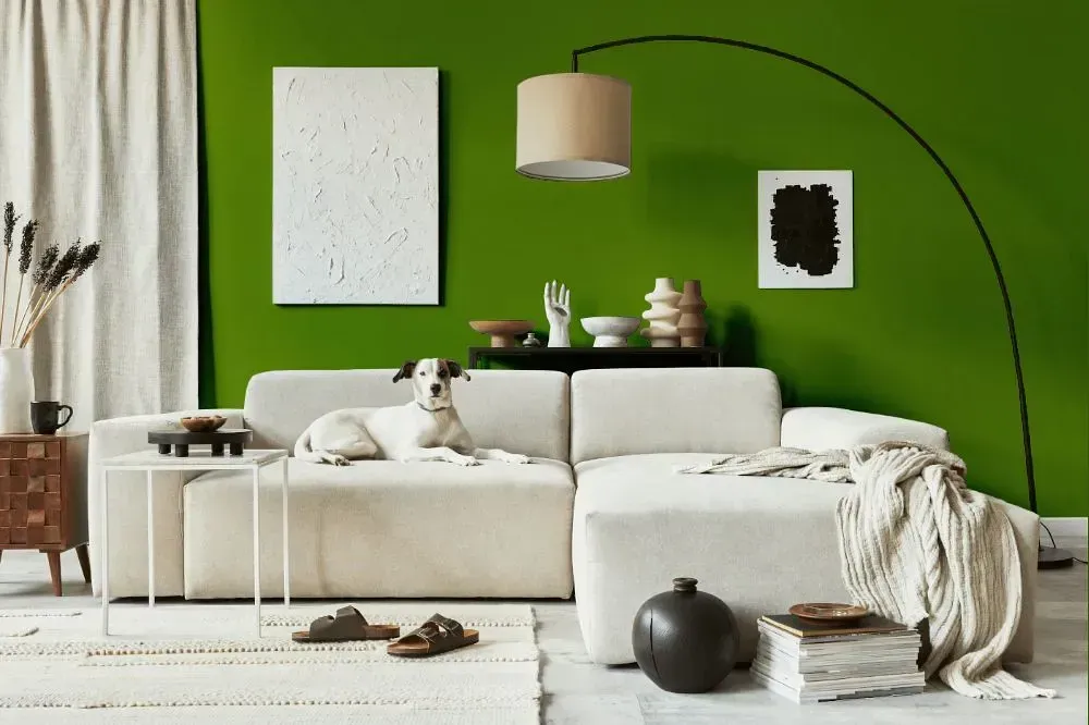 NCS S 3065-G40Y cozy living room