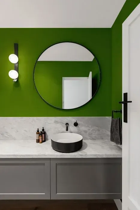 NCS S 3065-G40Y minimalist bathroom