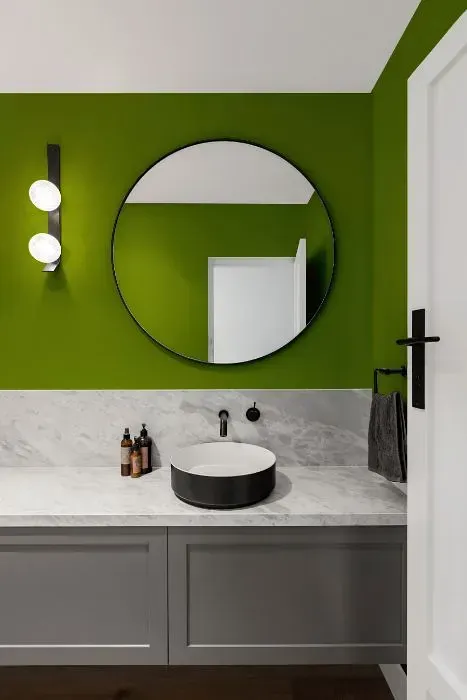 NCS S 3065-G50Y minimalist bathroom