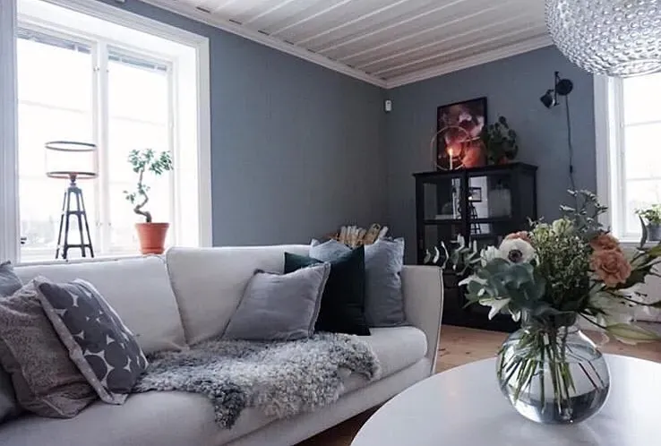 NCS S 3502-B living room color