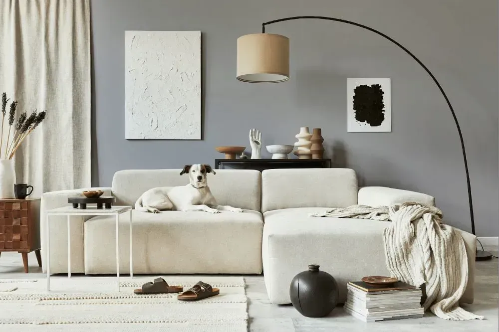 NCS S 3502-R50B cozy living room