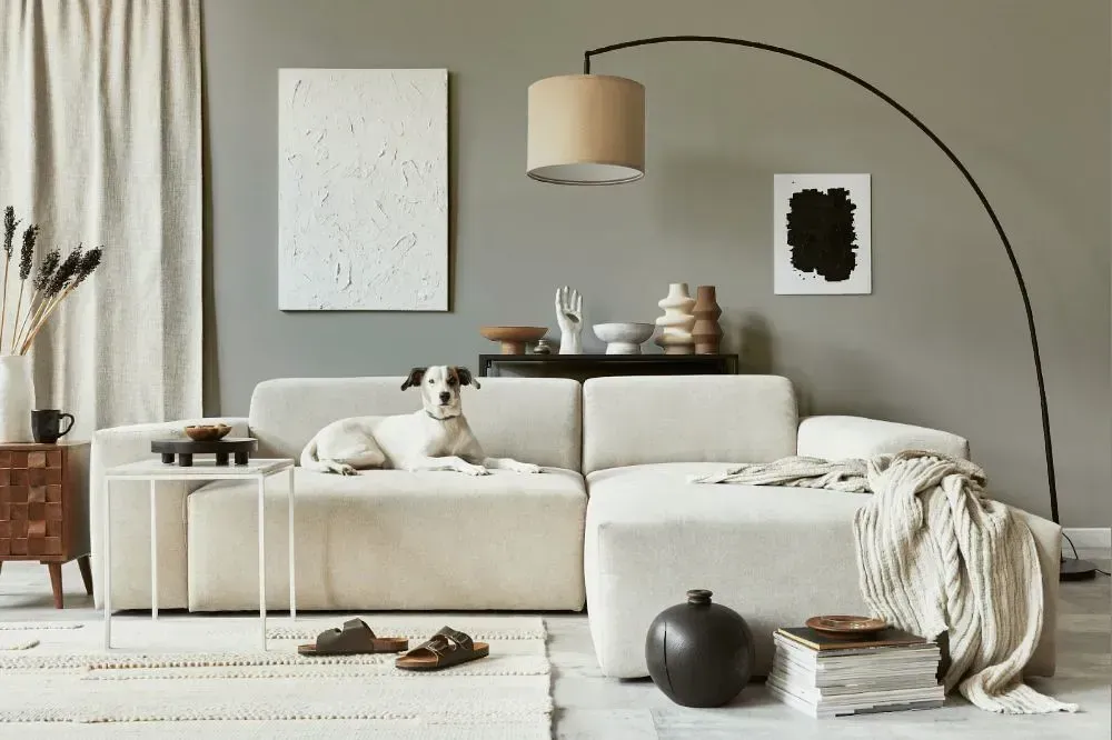 NCS S 3502-Y20R cozy living room