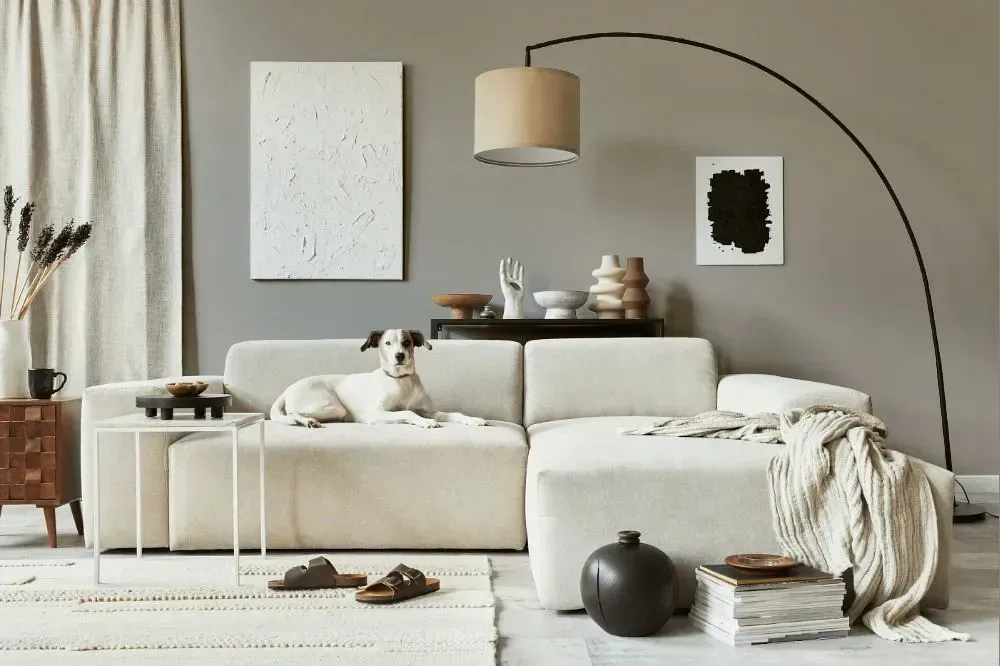 NCS S 3502-Y50R cozy living room