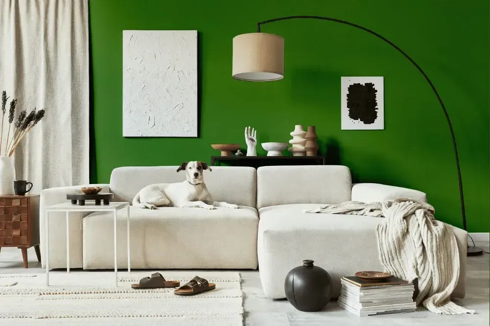 NCS S 3560-G30Y cozy living room