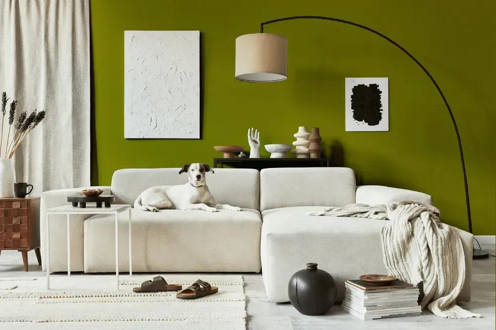 NCS S 3560-G70Y cozy living room