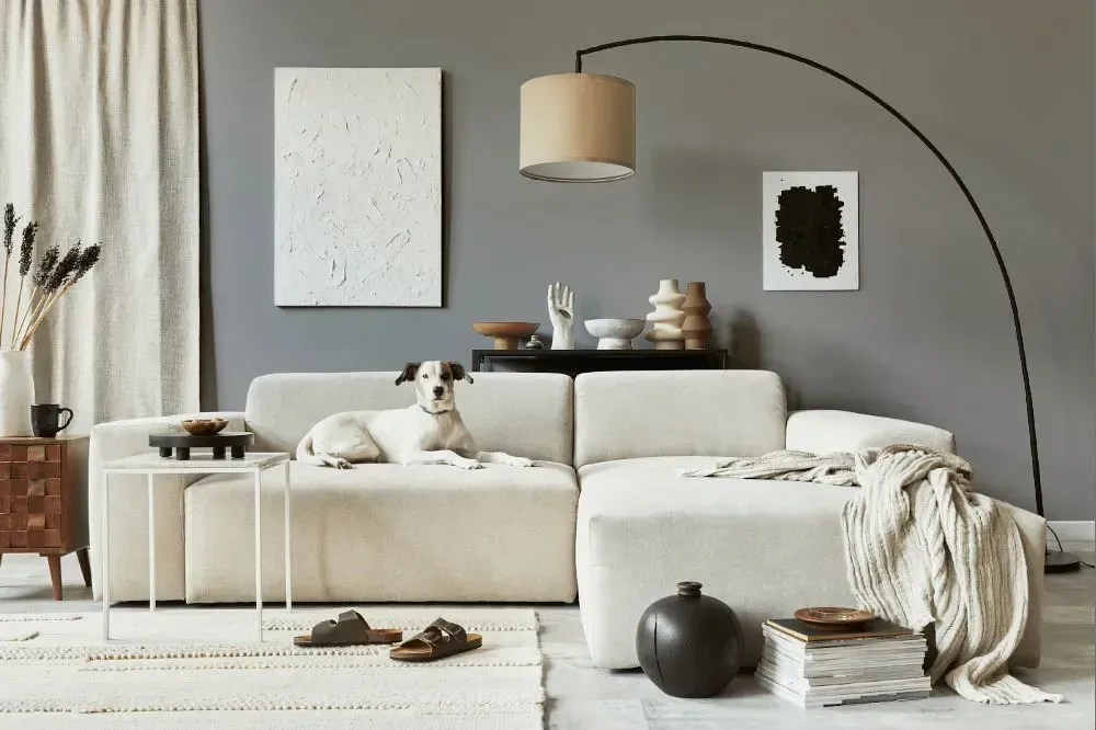 NCS S 4000-N cozy living room
