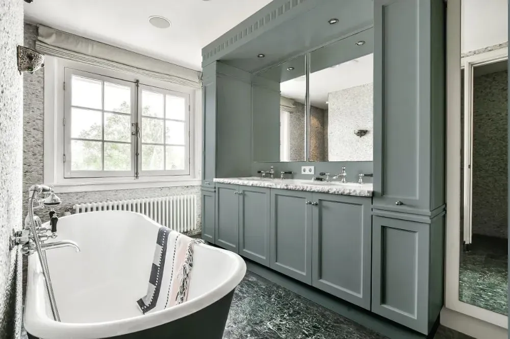 NCS S 4005-B50G victorian bathroom paint