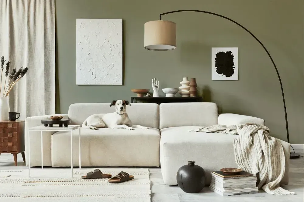 NCS S 4005-G80Y cozy living room