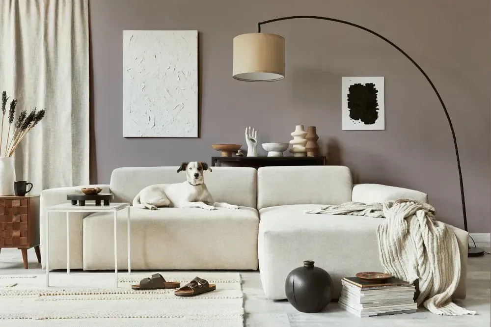 NCS S 4005-R cozy living room