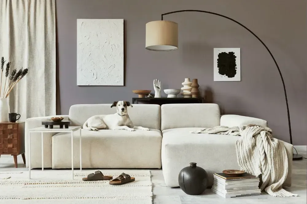 NCS S 4005-R20B cozy living room
