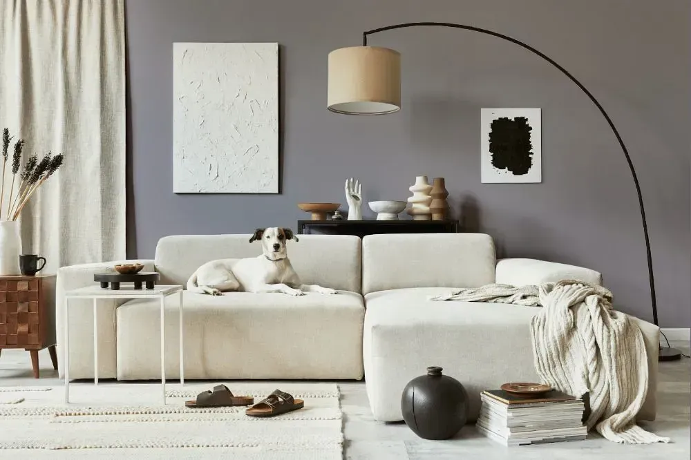 NCS S 4005-R50B cozy living room