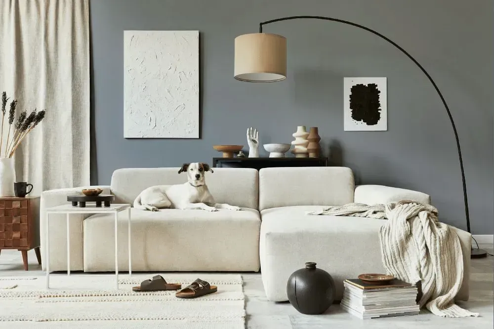 NCS S 4005-R80B cozy living room