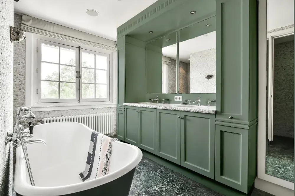 NCS S 4010-G10Y victorian bathroom paint