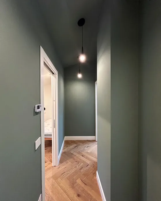 NCS S 4010-G10Y hallway paint
