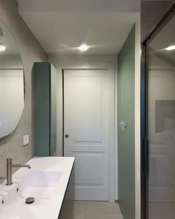 NCS S 4010-G10Y bathroom paint