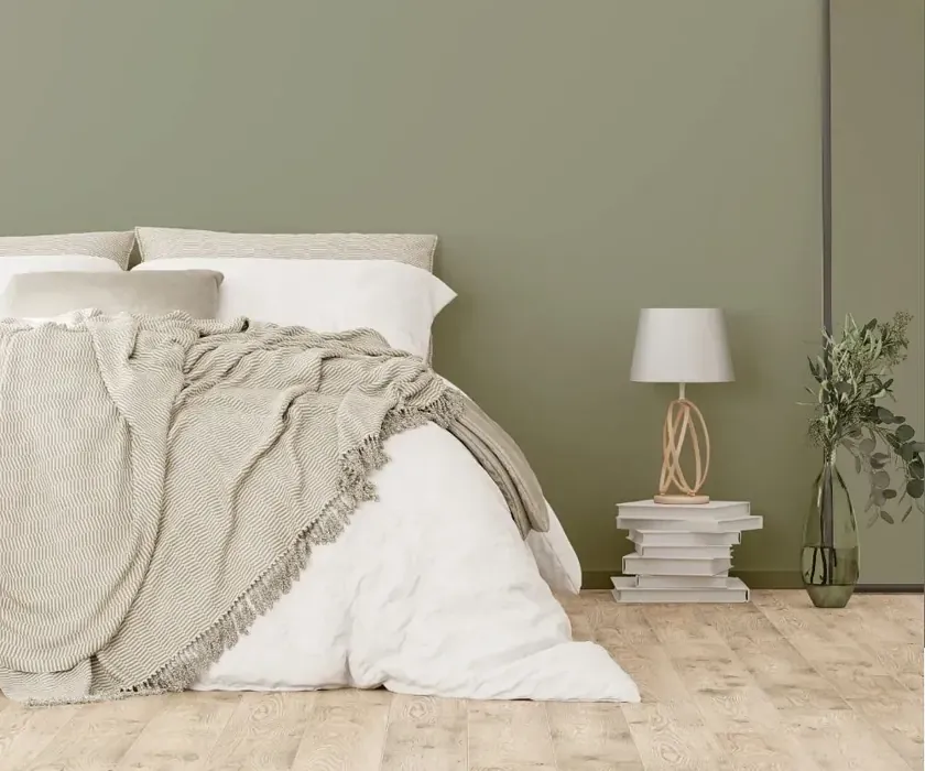 NCS S 4010-G50Y cozy bedroom wall color