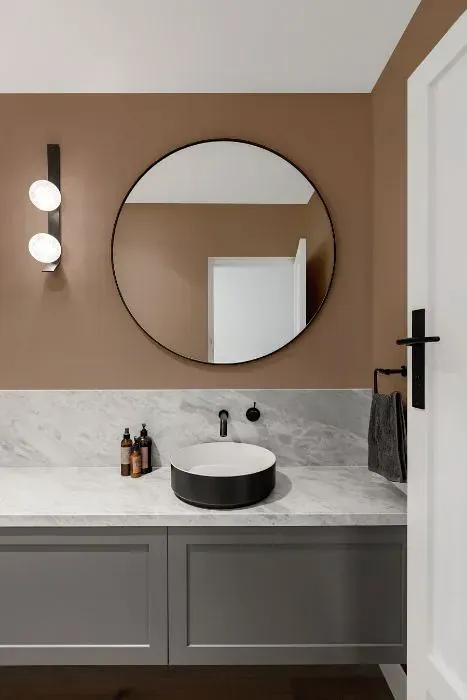 NCS S 4010-Y50R minimalist bathroom