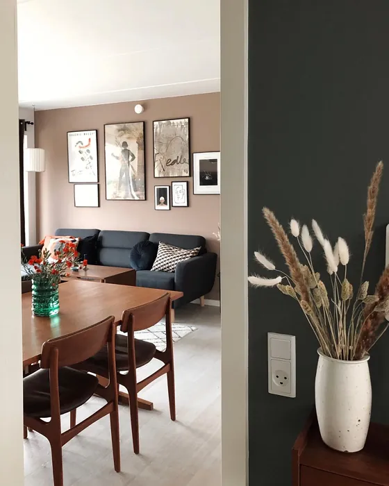NCS S 4010-Y50R scandinavian living room color review