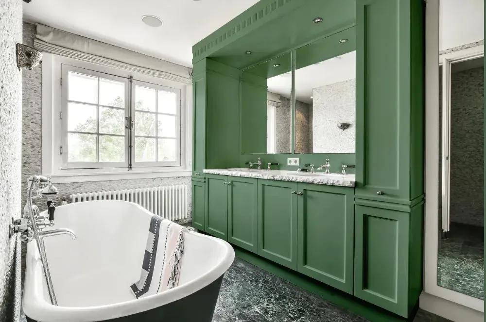 NCS S 4020-G10Y victorian bathroom paint