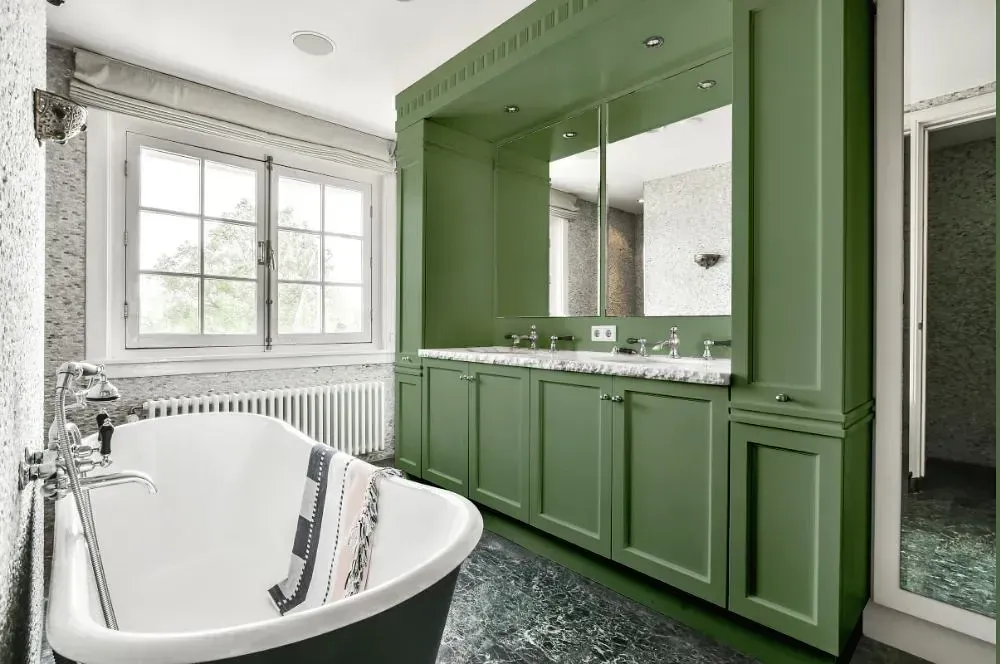 NCS S 4020-G30Y victorian bathroom paint