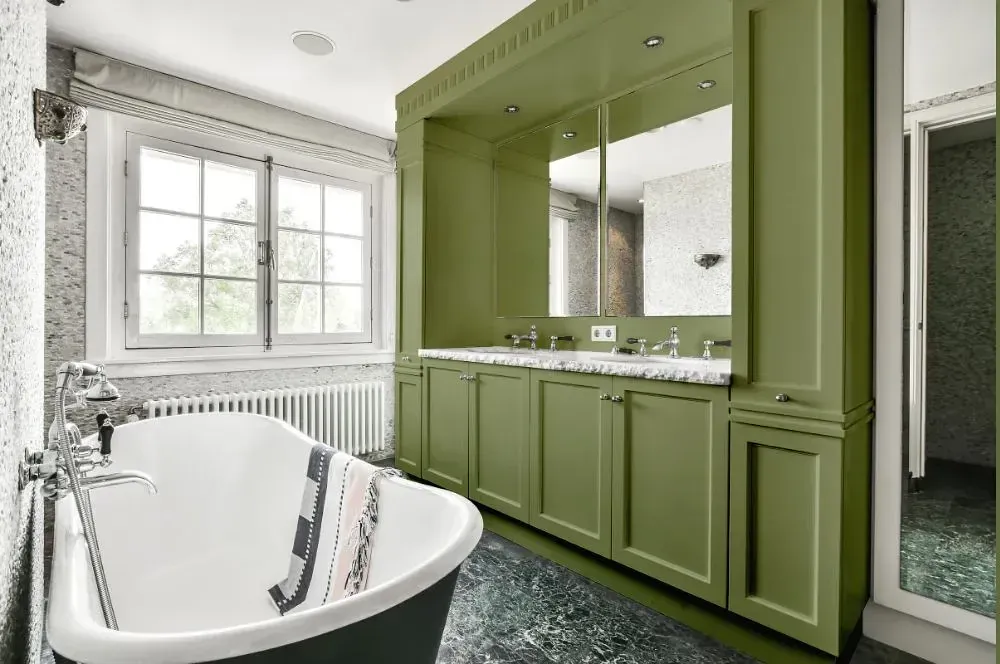 NCS S 4020-G50Y victorian bathroom paint