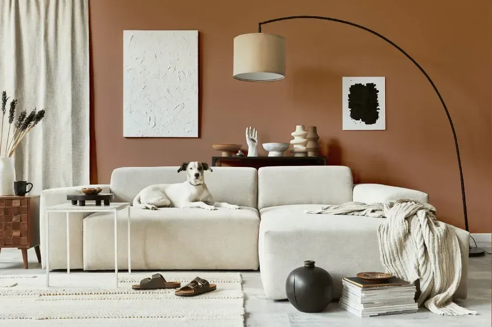 NCS S 4020-Y60R cozy living room