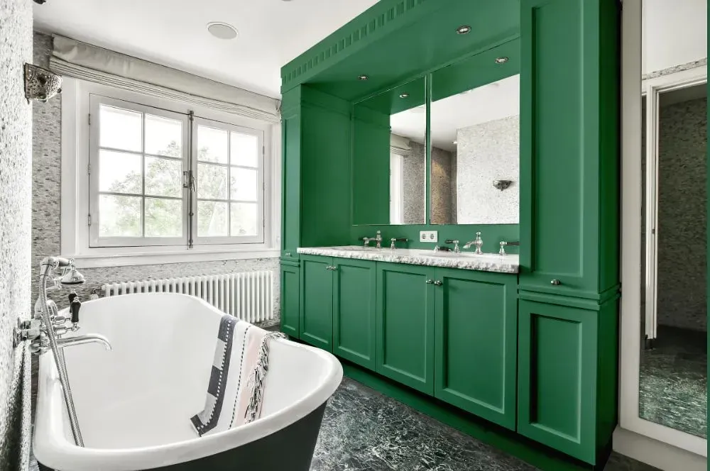 NCS S 4030-G victorian bathroom paint