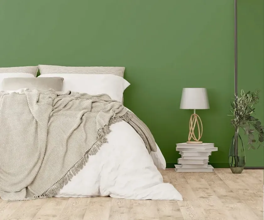 NCS S 4030-G30Y cozy bedroom wall color