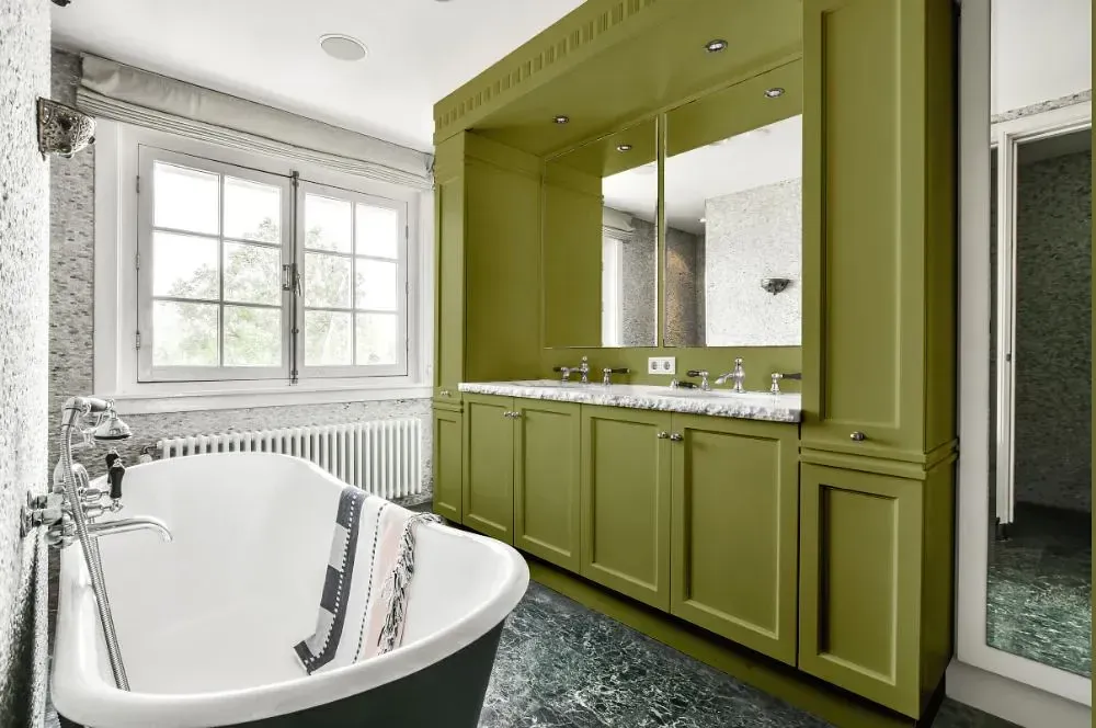 NCS S 4030-G70Y victorian bathroom paint