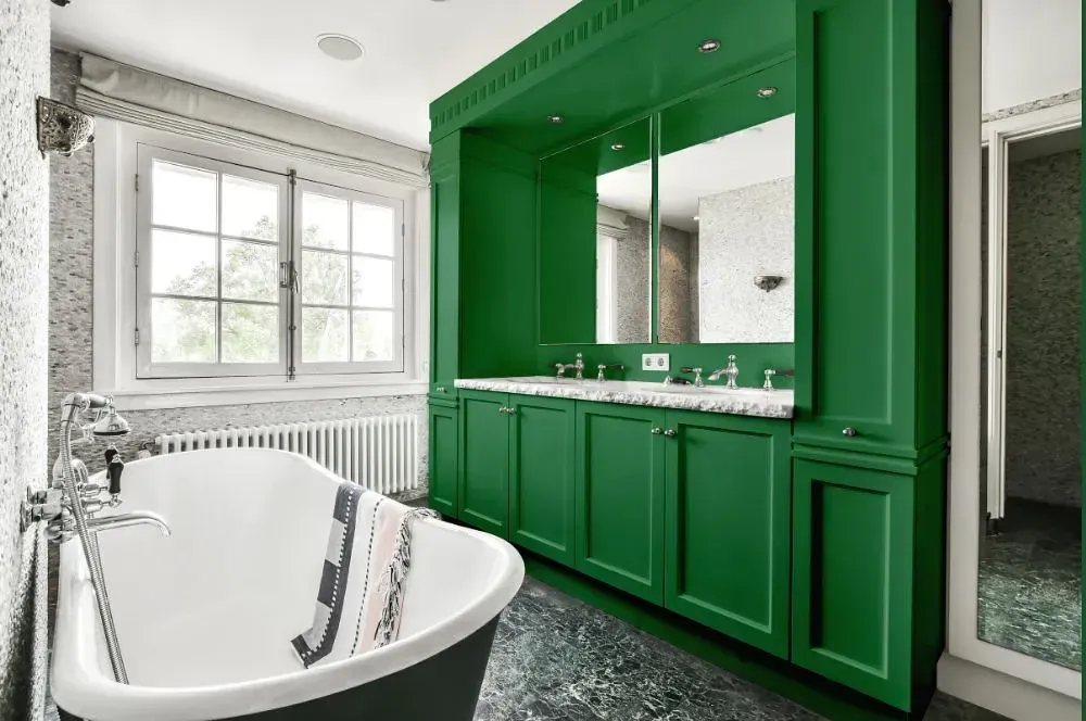 NCS S 4040-G10Y victorian bathroom paint