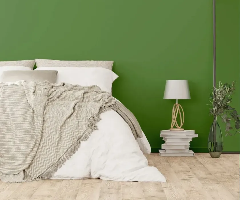 NCS S 4040-G30Y cozy bedroom wall color